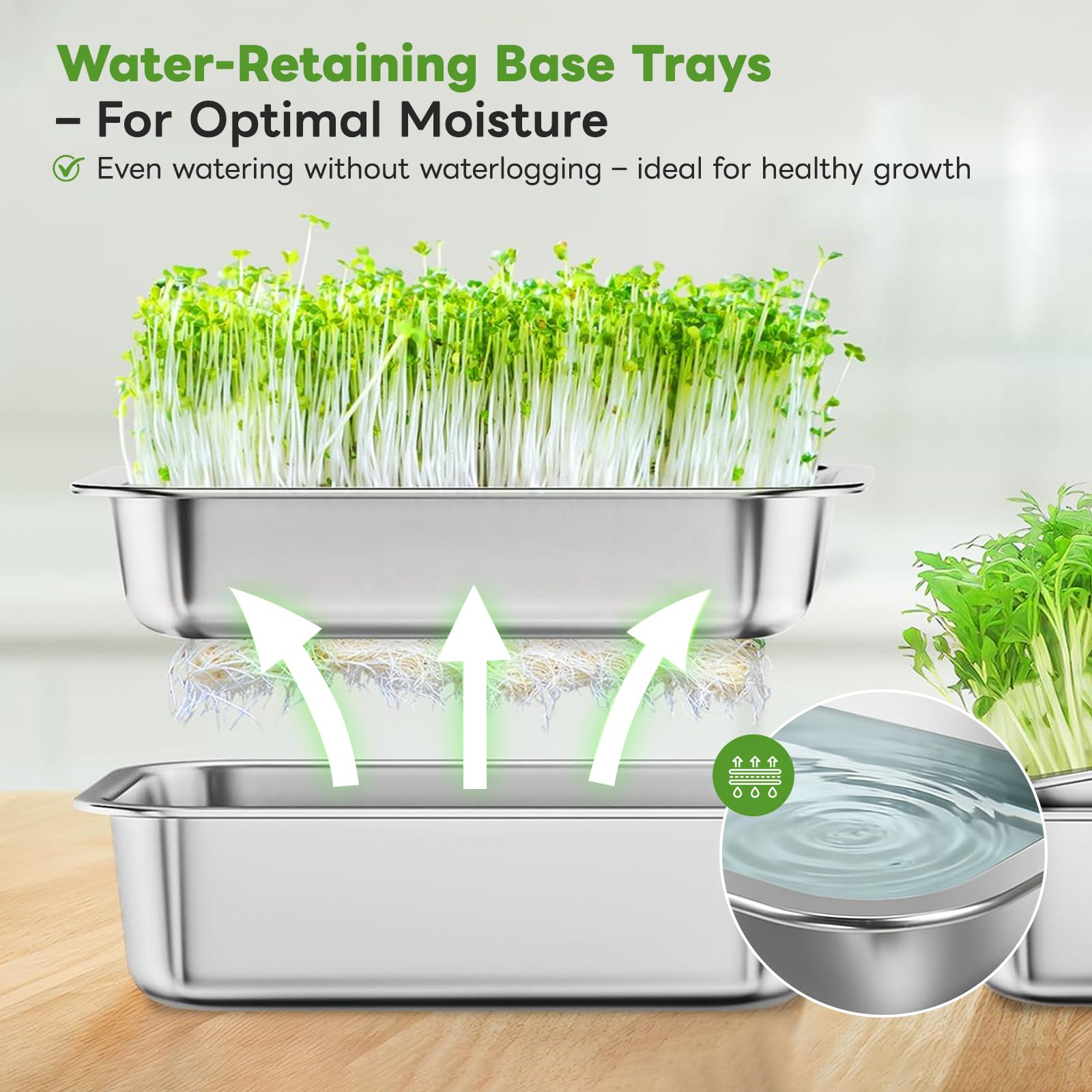 Acero Inoxidable Germinador de Semillas - 26 x 9 cm Bandejas de Germinación Reutilizables - Cultivo Sin Tierra Hierba para Gatos - Semilleros Profesionales para Brotes Hierba para Berro Microgreens