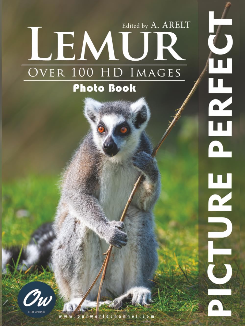 Lemur: Picture Perfect Photo Book