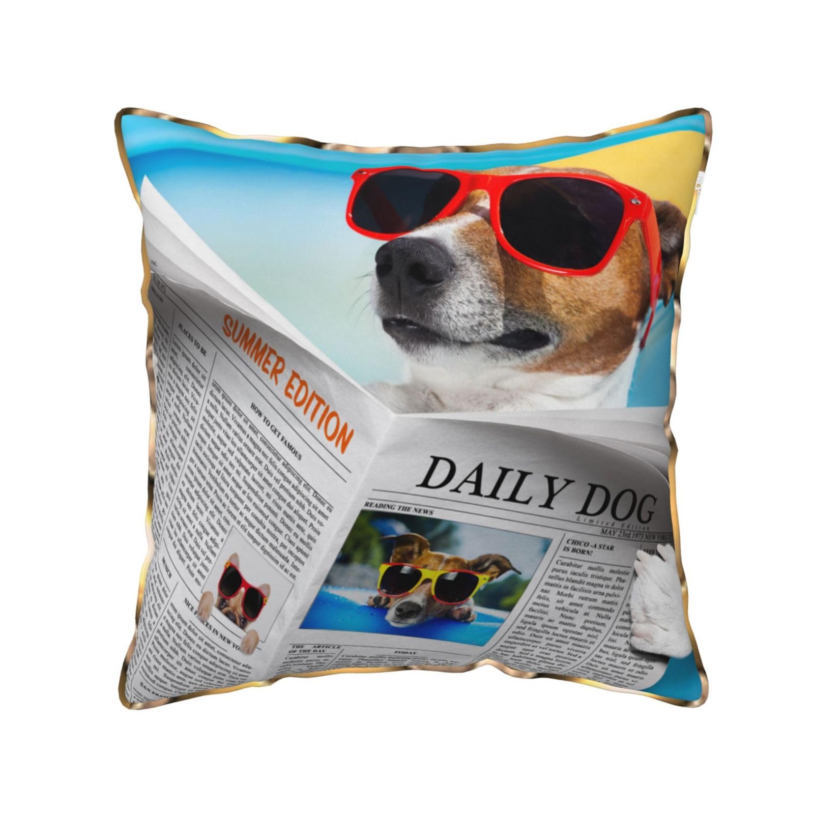 FZGGWYHL Dog with Glasses Reading Newspaper Ocean Beach printed Velvet Throw Pillow Cover Pillowcase