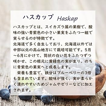 Amazon.co.jp: ハスカップ 苗 苗木 13.5cmポット 樹高約30cm