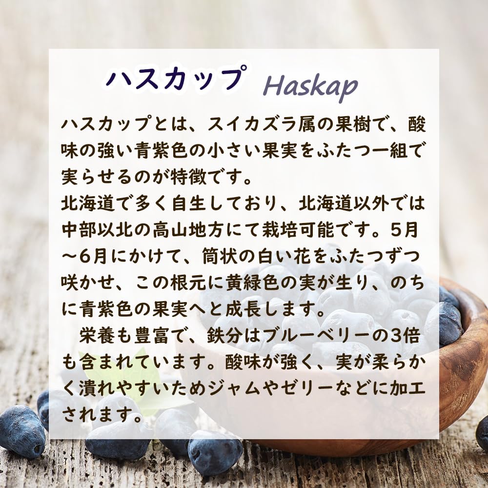 北の蝦夷ハスカップ苗木 615kUTvjhPL._UF350,350_QL80_.jpg
