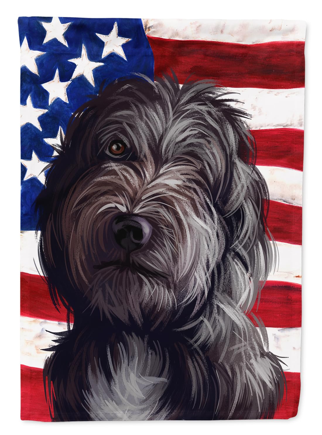 Lagotto Romagnolo drapeau résistant aux intempéries pour décoration extérieure