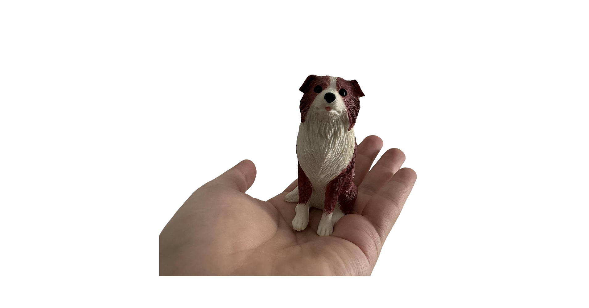 71gv2dtU6EL.jpg_BO30,255,255,