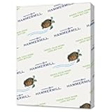 Hammermill Colored Paper, 20 lb Gray Printer Paper, 8.5 x 11-1 Ream (500 Sheets) - Made in the USA, Pastel Paper, 102889R
