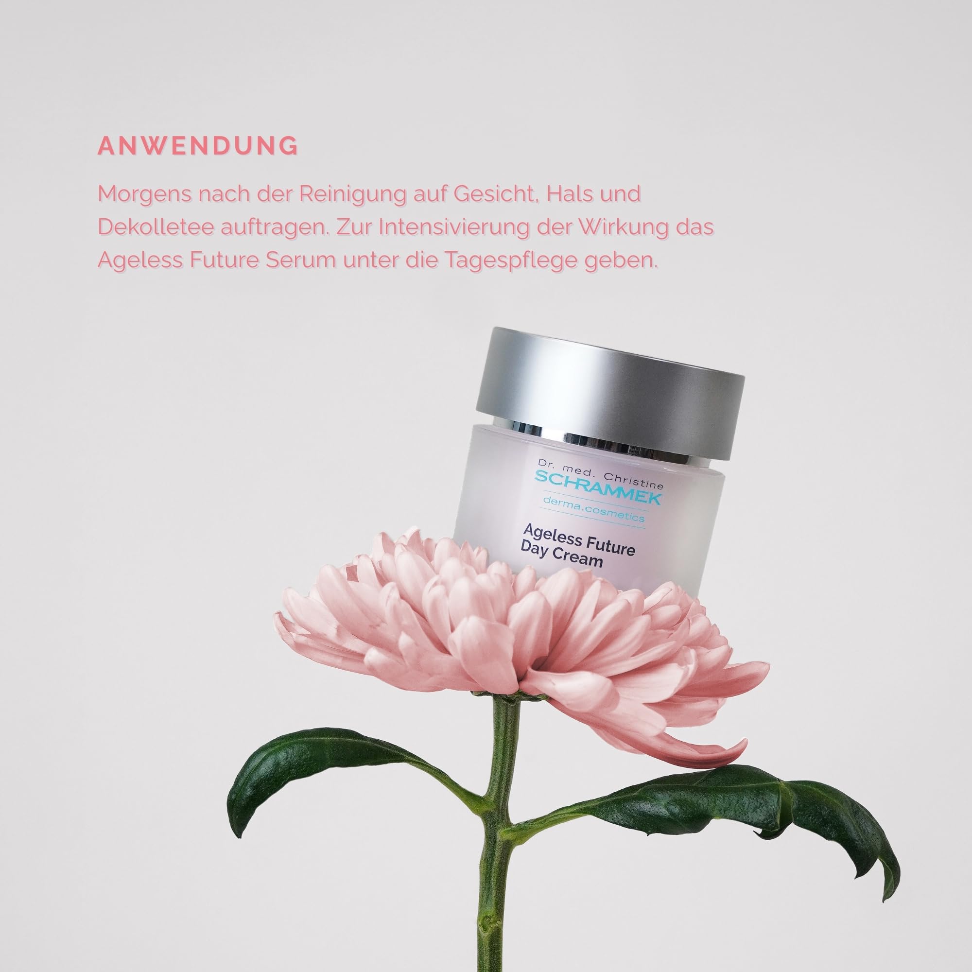 SCHRAMMEK Ageless Future Day Cream, 1 x 50 ml