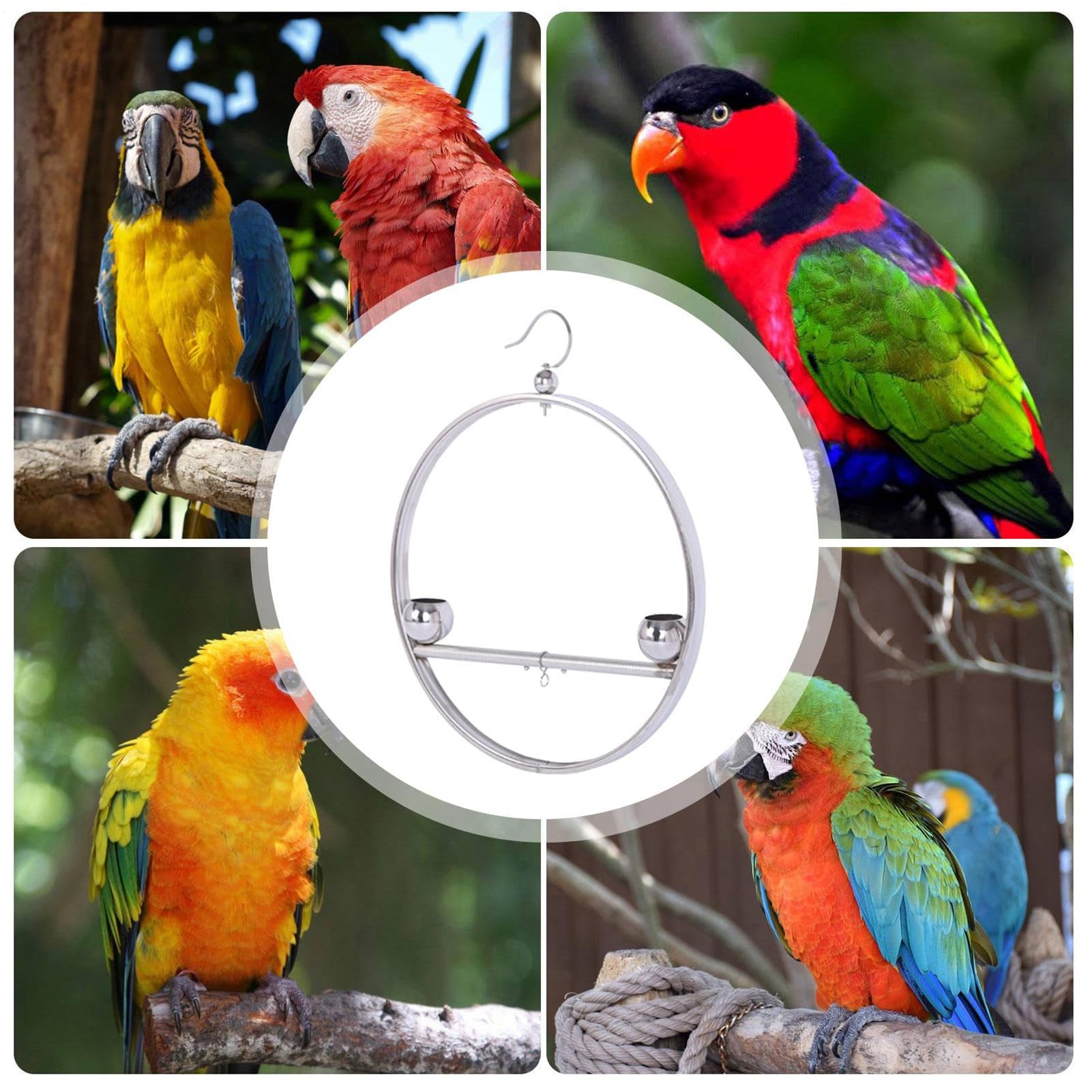 Perchas para Aves de Interior Estante Decorativo Colgante De Acero | Percha Circular De Entrenamiento Con Gancho Y Comederos Para Jaulas de Mascotas Interior Exterior Ventana Balcón Jar