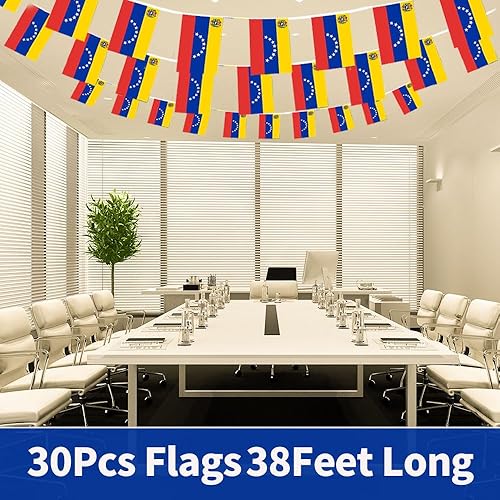 Miniatura 192 de Bandera de Argentina pequeña mini bandera argentina decoración para desfiles, fiestas, aulas, jardines y festivales (Argentina)