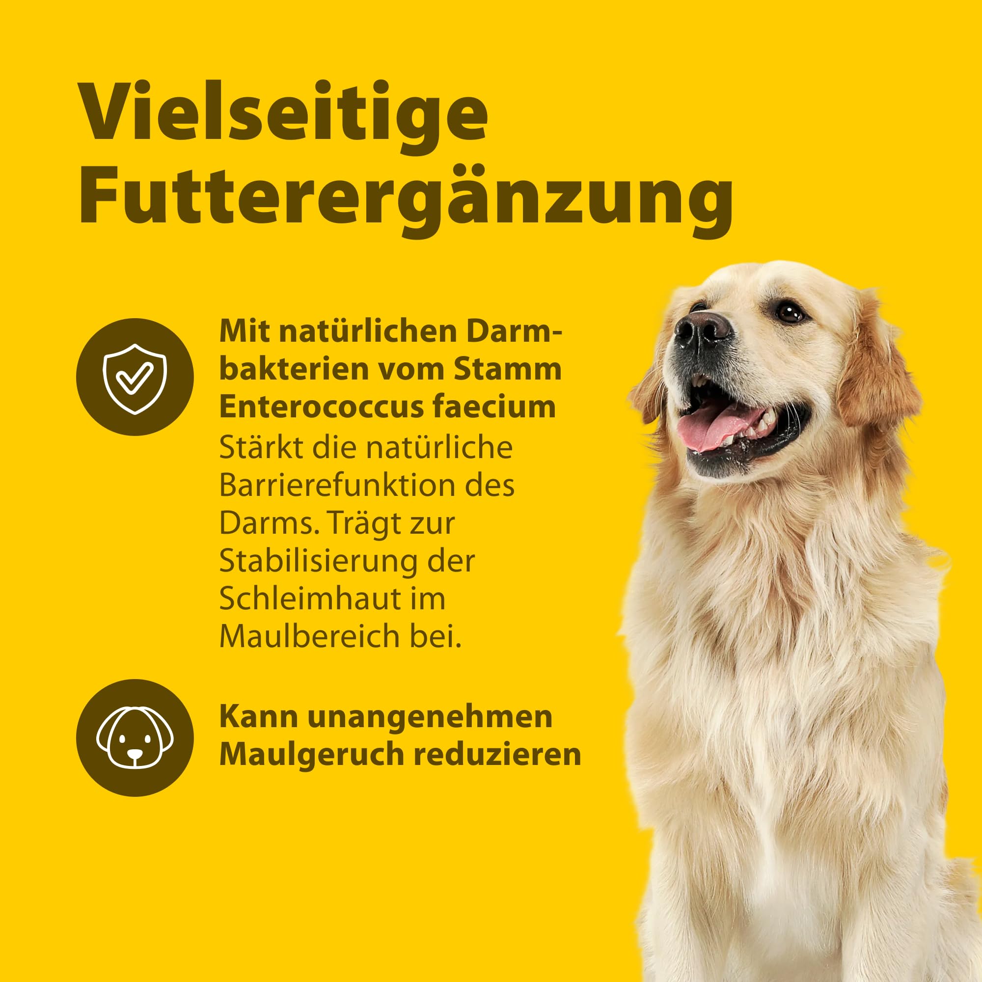 SymbioPet Dog - Probiotika für den Hund - Ergänzungsfuttermittel zur Pflege einer gesunden Darmflora - für Hunde jeden Alters - 175 g Pulver