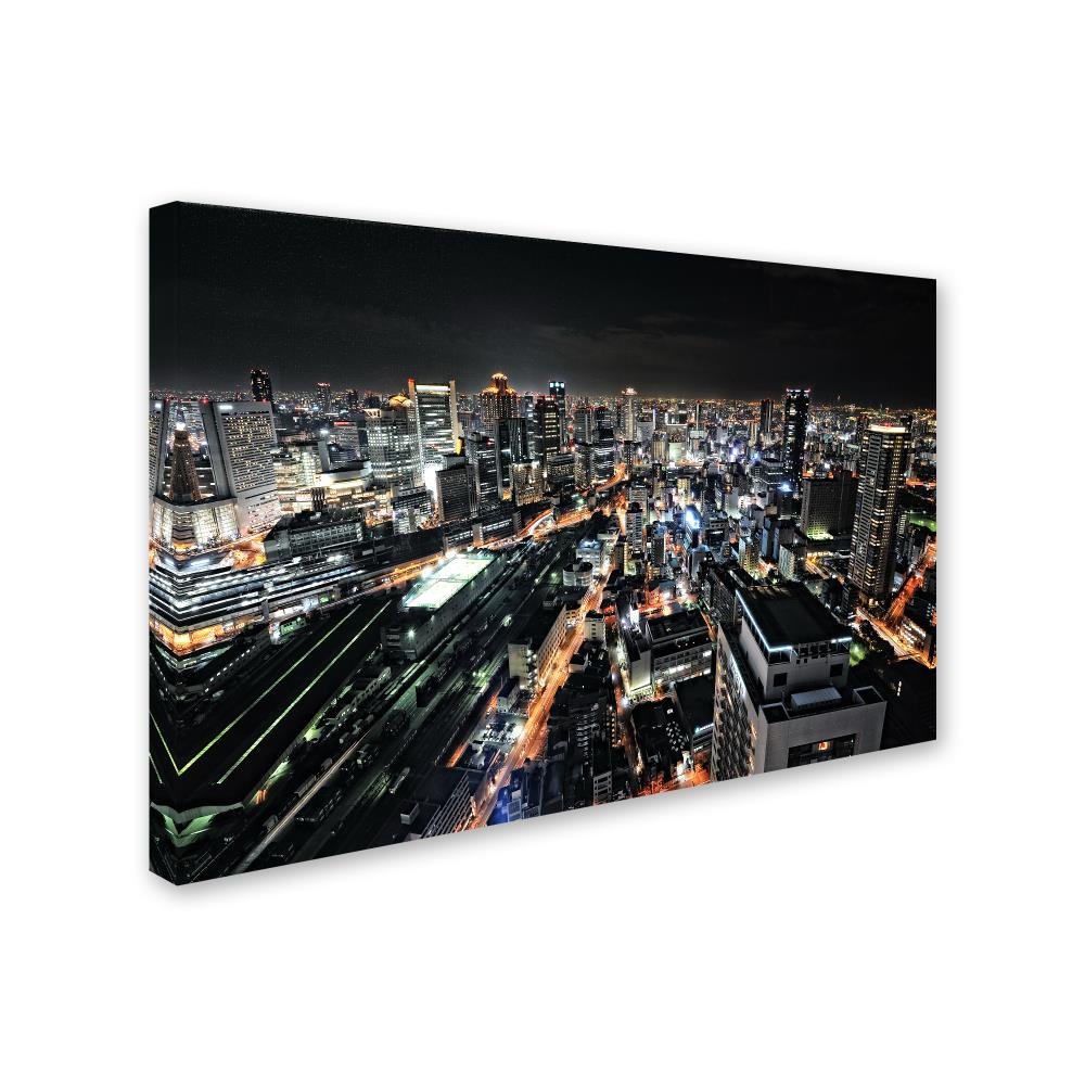 Amazon.com: Trademark Fine Art Osaka Night View Wall Décor, 22x32
