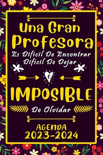 Cuaderno Profesora 23-24 Práctico Organizador para Profesores y Maestras Planificador Semanal y Mensual de Lecciones de Agosto 2023 a Julio 2024