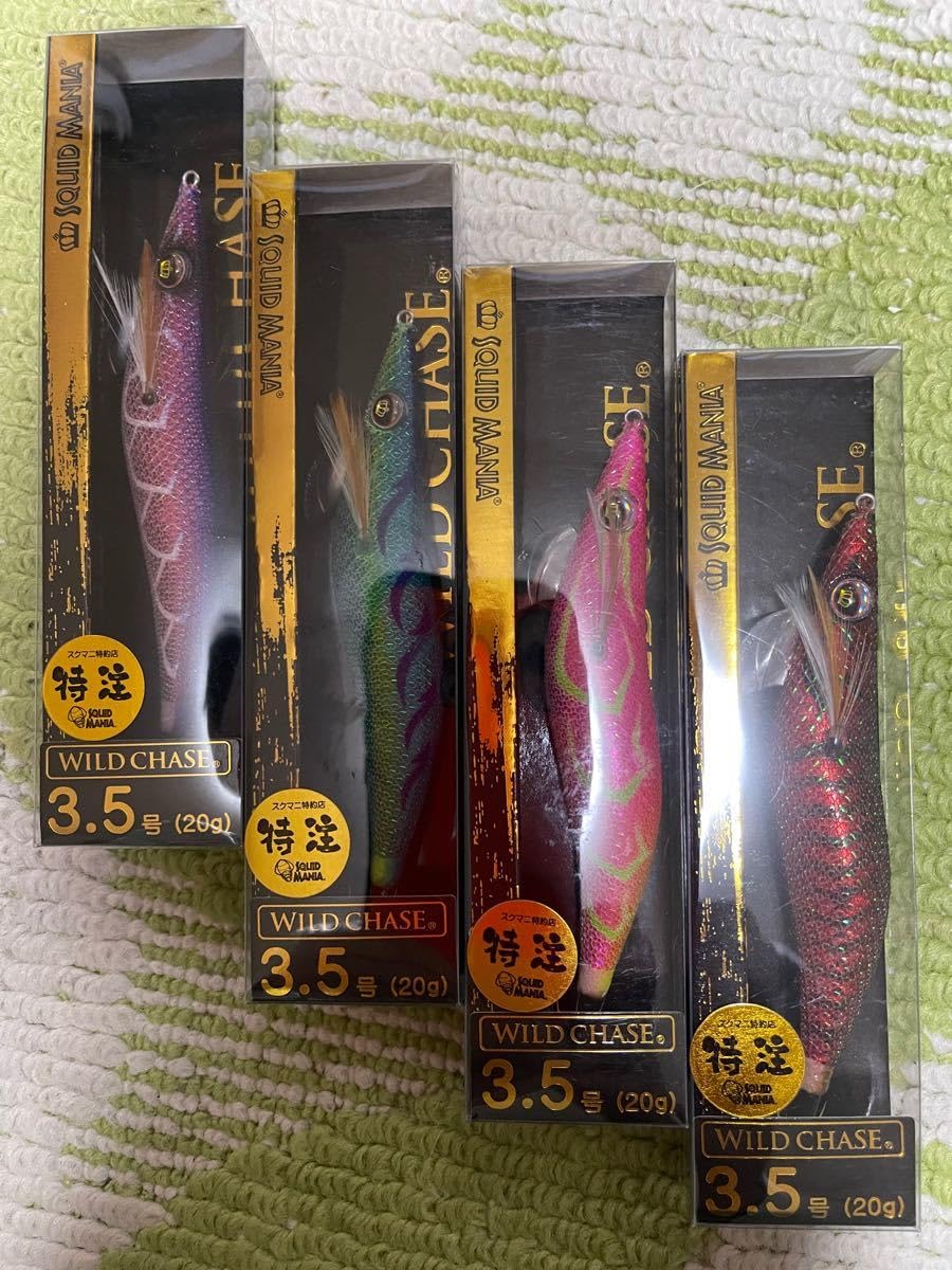 Amazon | SQUID MANIA スクイッドマニア スクマニ WILD CHASE