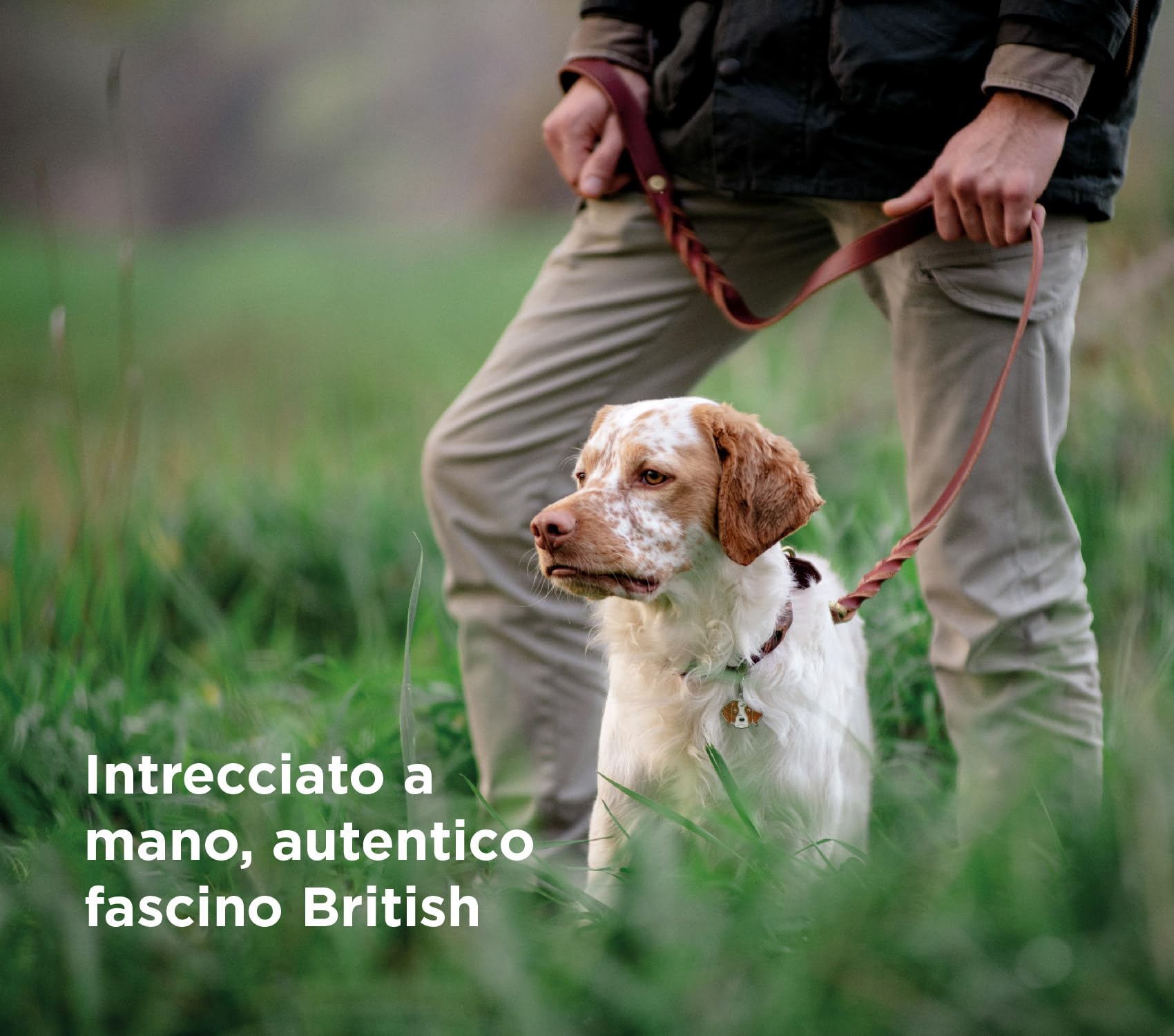 MyFamily Guinzaglio per Cane in Cuoio Ingrassato Made in Italy, Finiture Metalliche in Ottone Inglese, Pratico e Confortevole, Fatto a Mano, Collezione Ascot