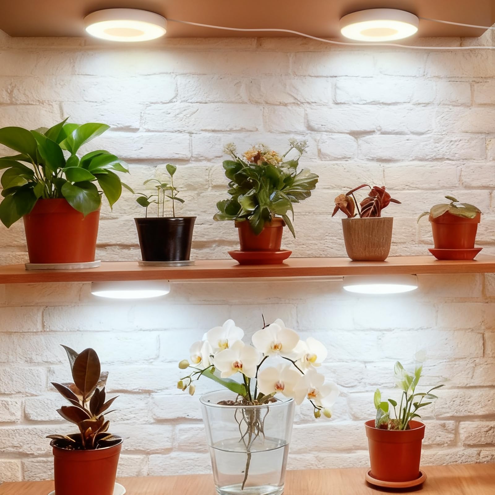 Lampe LED pour plantes à spectre complet avec minuterie automatique 3/9/12H et adaptateur USB, 3 couleurs, 10 niveaux de luminosité (blanc, 4 têtes)