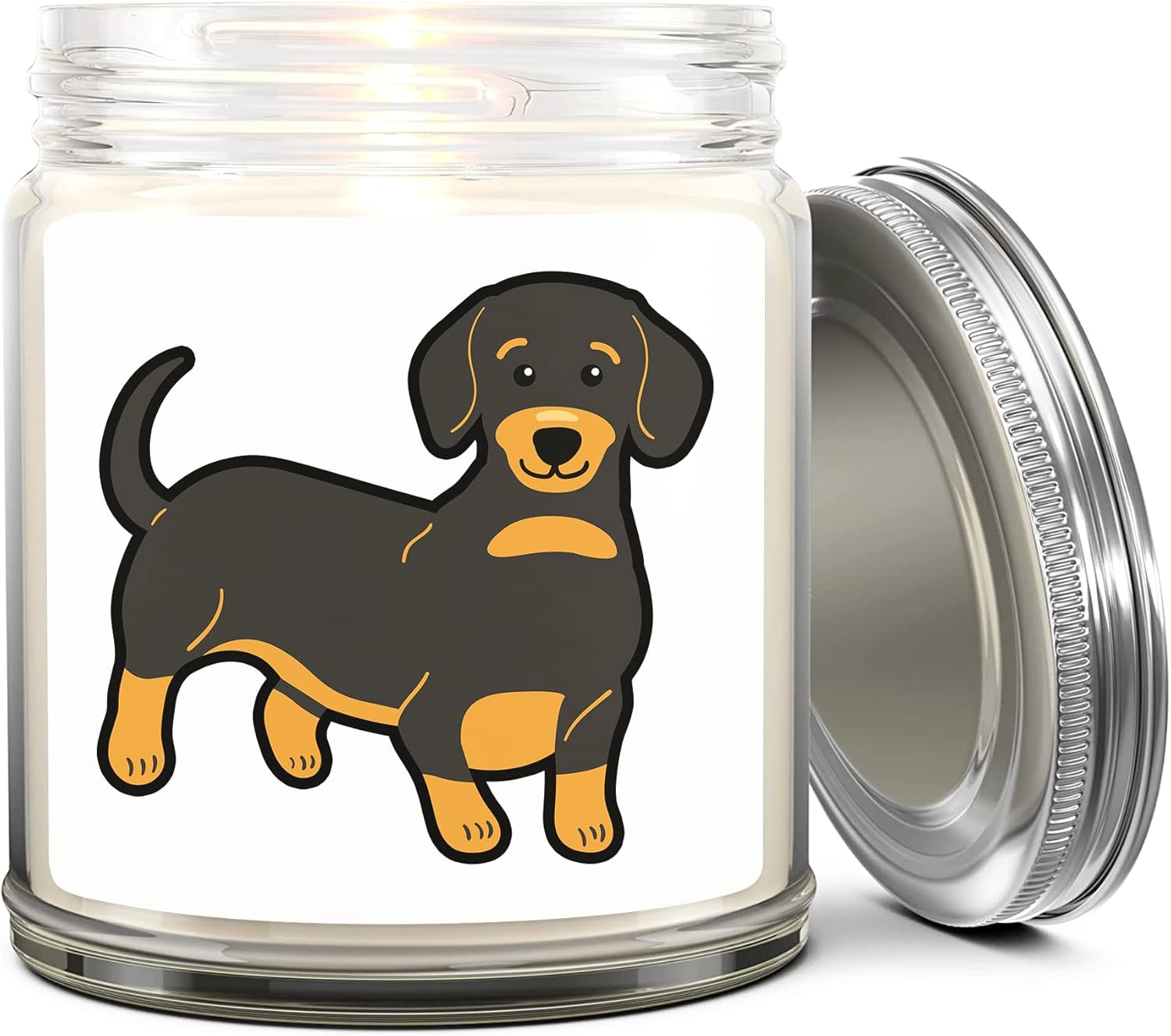 Dachshund