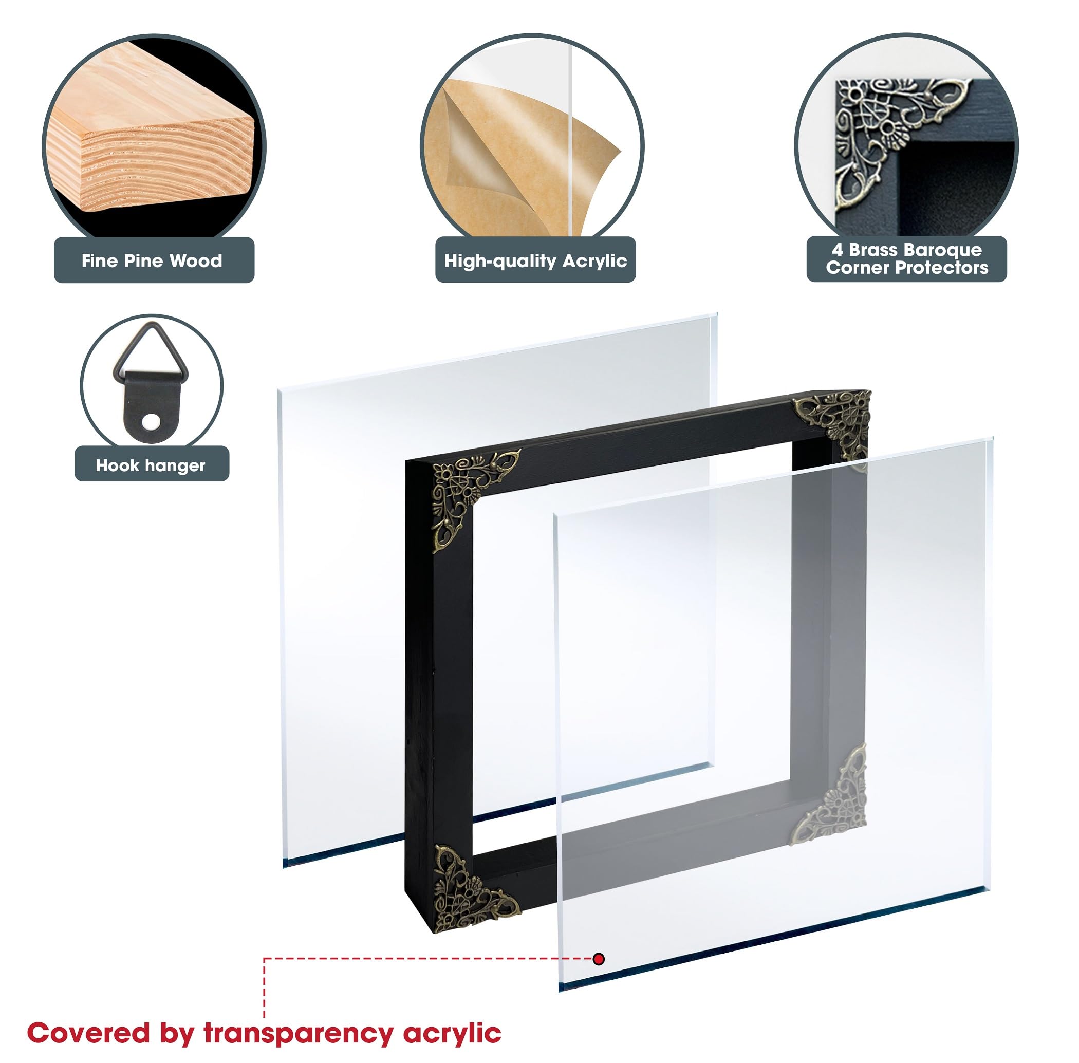 Real Death Head Moth White Skull Acherontia Gothic Witchy Spooky Halloween Butterfly Entomology Shadow Box Insect Oddity Curiosities Taxidermy Wall Art Home Decor Living Gallery CF18-01-DO-MT