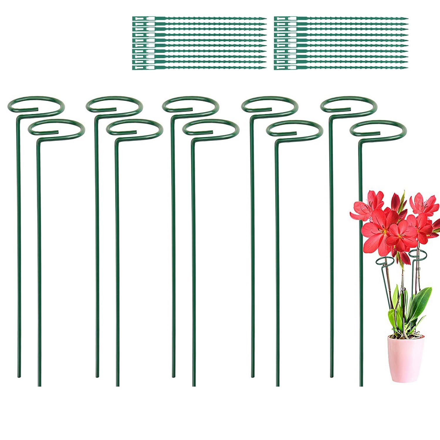 Amazon | SHIGATSU 植物支柱 花支え 観葉植物 約40cm 10本セット 誘引