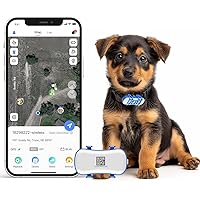 GPS Pet Tracker GPS Dog Tracker 4G Live Satellite Tracking, avvisi intelligenti multipli