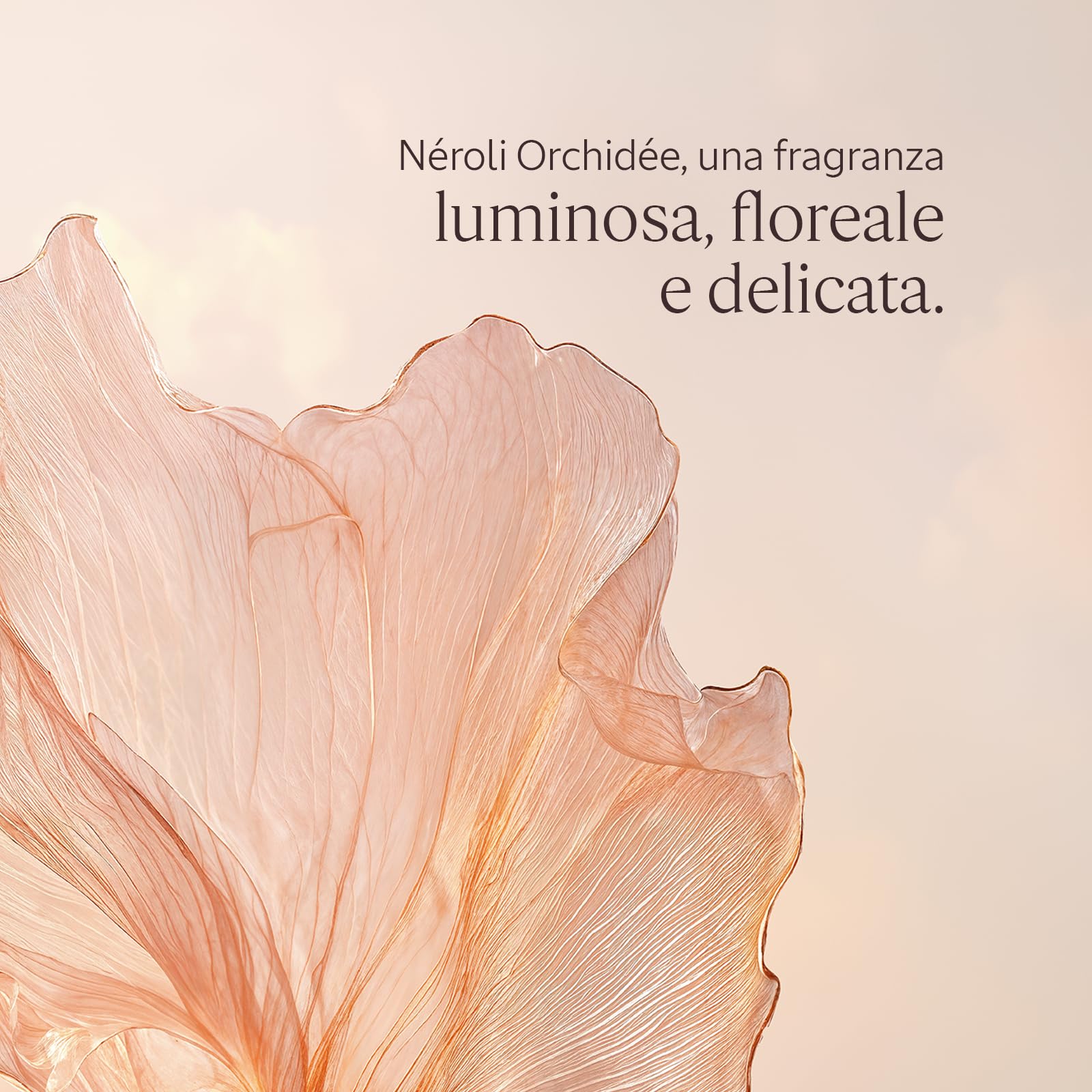 L'OCCITANE - Eau de Toilette Néroli Orchidée (Néroli Orchidea) - 50 ml