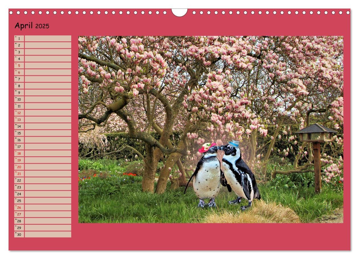 Pinguine privat Planer (Wandkalender 2025 DIN A3 quer), CALVENDO Monatskalender: Momentaufnahmen aus ihrem Alltag (CALVENDO Spass)