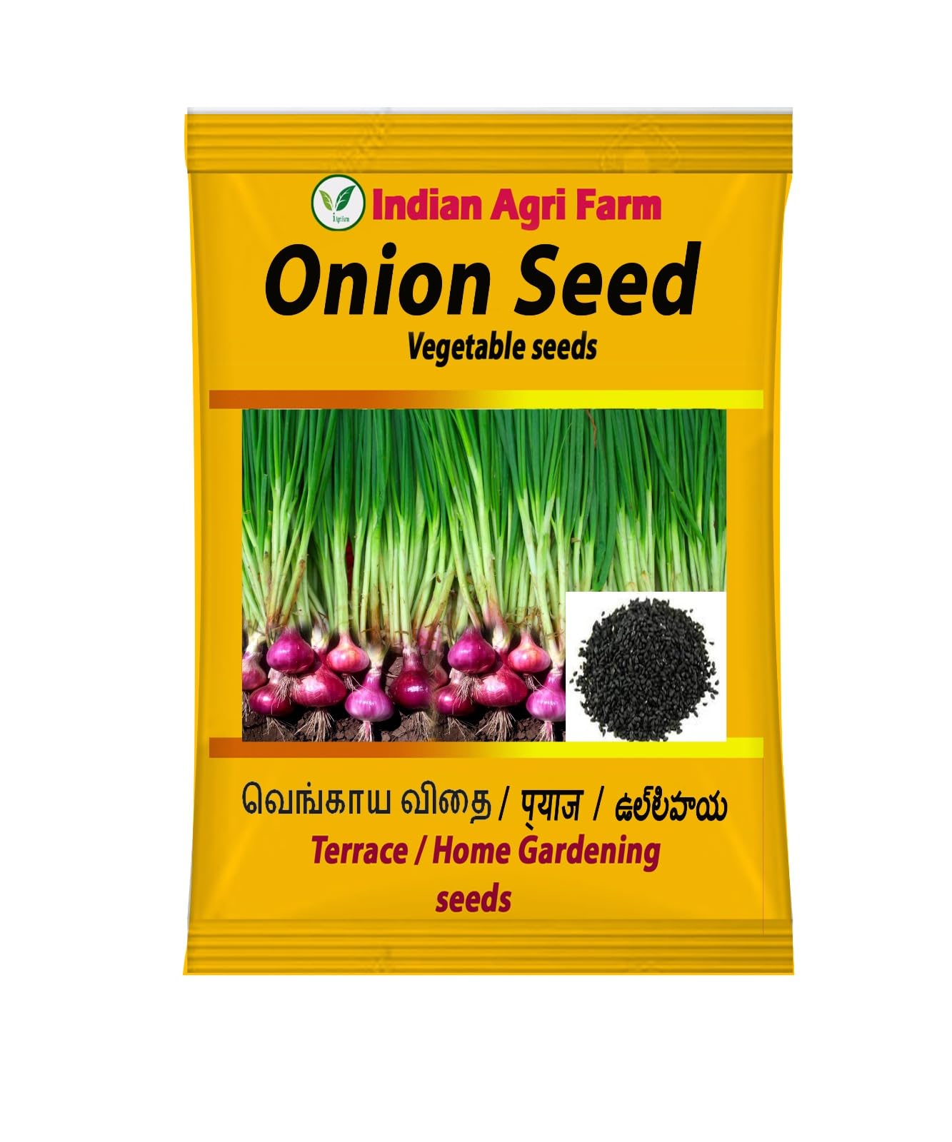Big Onion Vegetable Seeds - 1500 Seeds forTerrace and Home Gardening