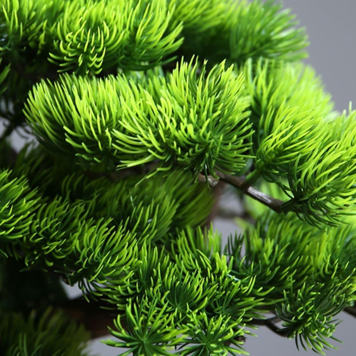 Sztuczne Drzewa, Symulacja Bonsai, Ozdoby Do Salonu, Stolik Kawowy, Wejście Do Biura, Biurko, Dekoracje Ogrodowe, Symulowana Sosna