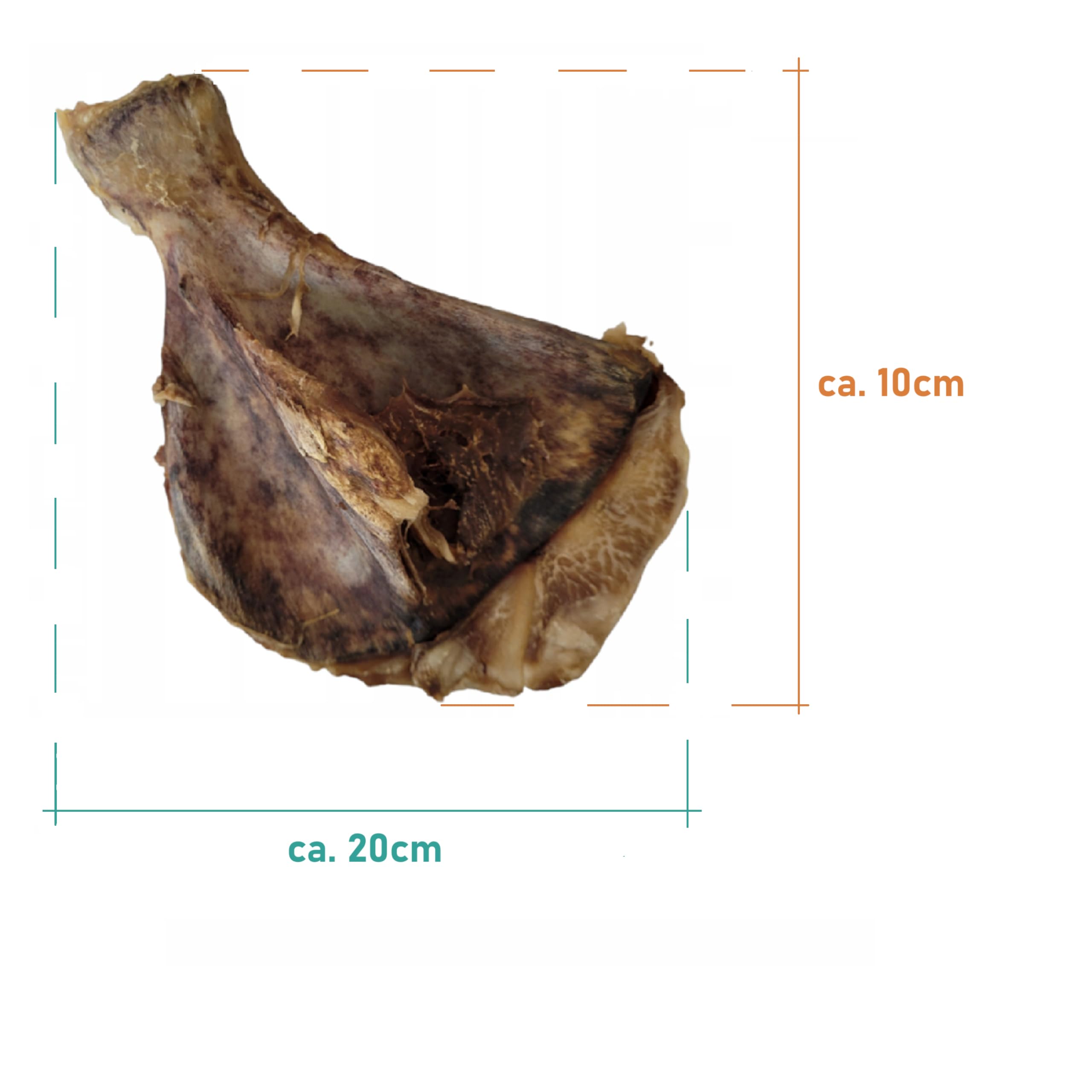 Os à mâcher pour chien de grande taille 5 kg Os de chien Os de porc omoplate friandises pour chien