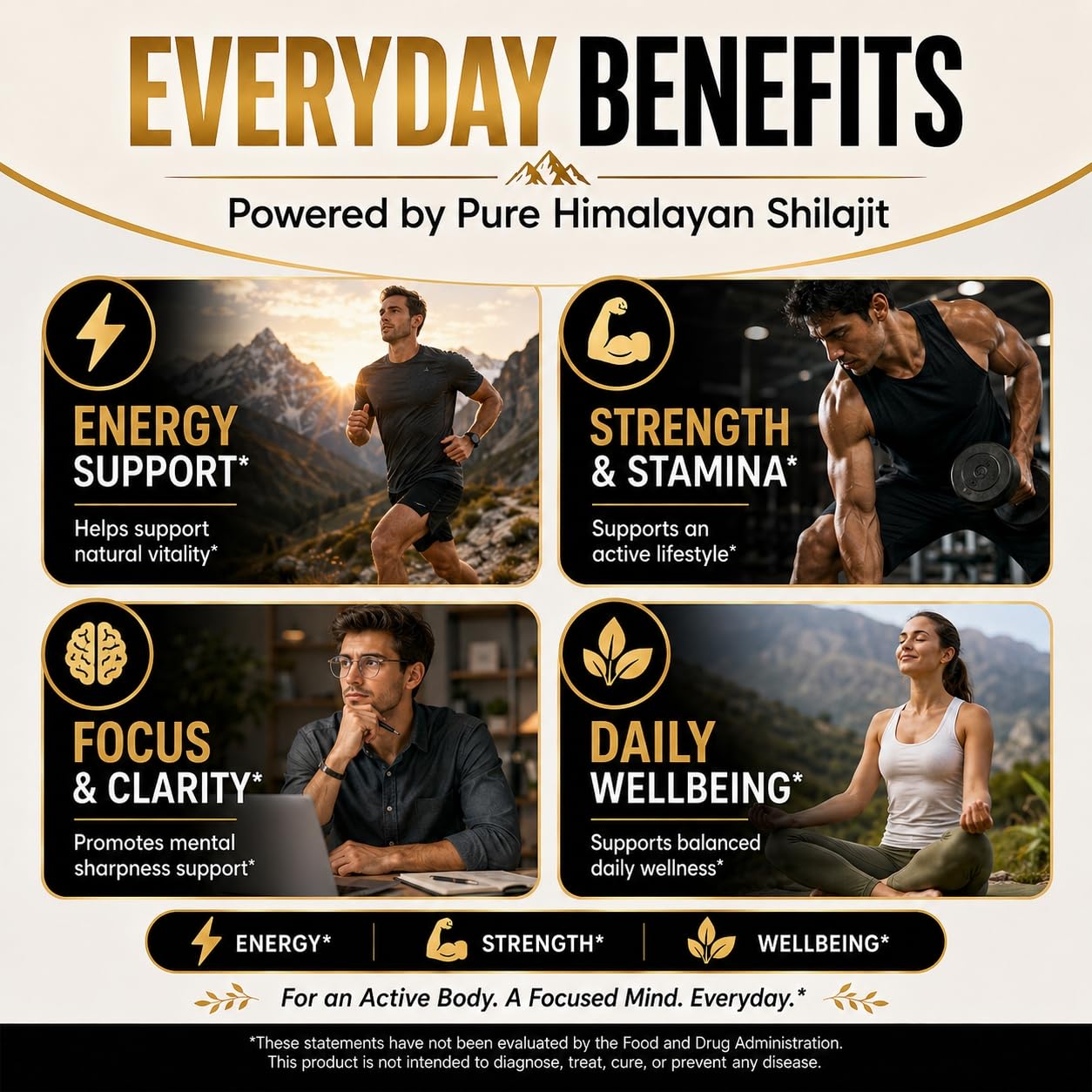 Shilajit Capsules with Fulvic Acid — Amazon image 4