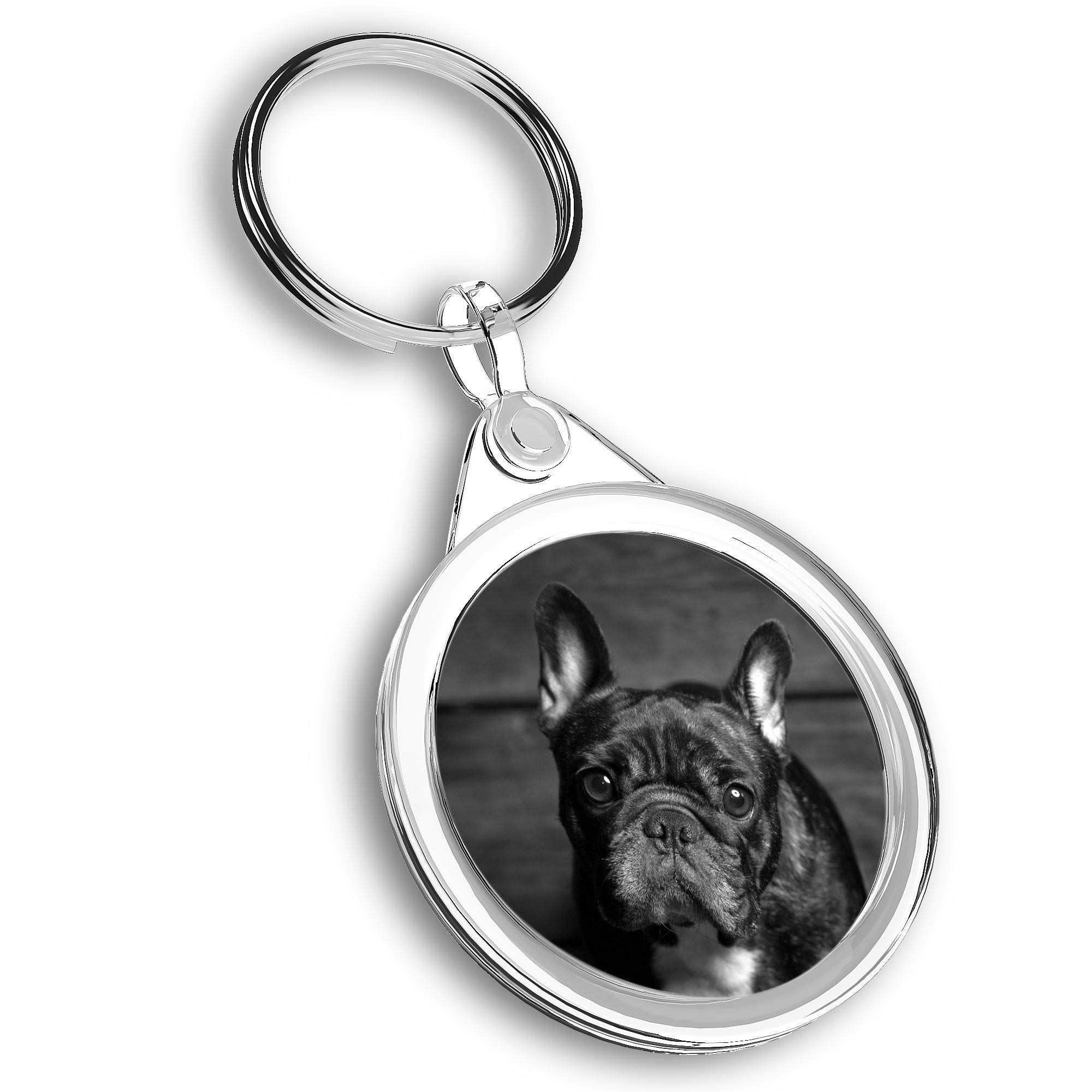 Destination Vinyl Ltd 1 x Photo Keyring - French Bulldog Puppy Dog |Keychain|Keyring|Charm| #38636