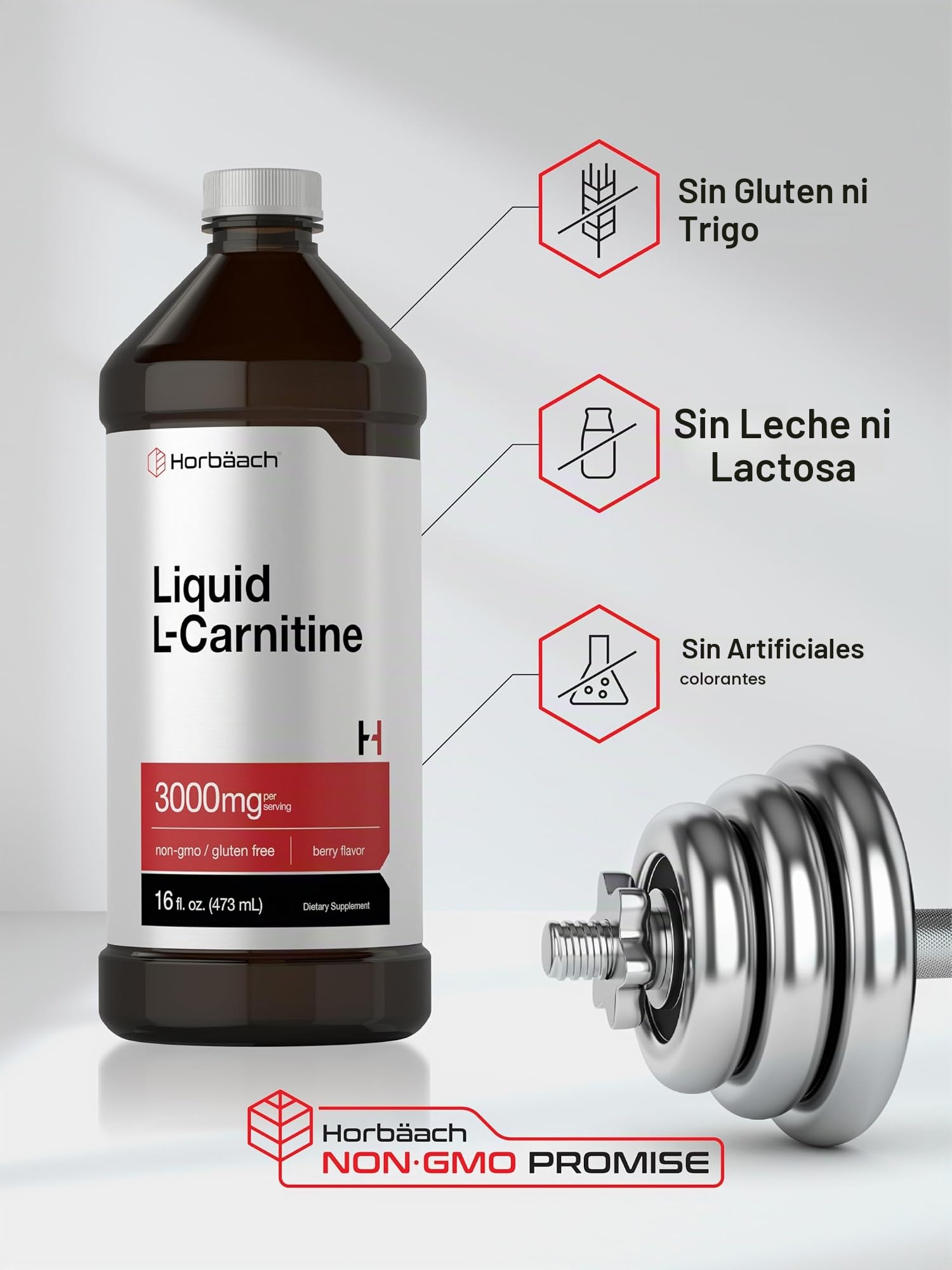 agua vivant con l carnitina Horbäach L-Carnitina Líquido 3000 mg | 16 oz | Sabor a bayas | Suplemento de máxima fuerza | Para hombres y mujeres Bundle & Save (No Subscription):Buy 1 (30 Days Supply) Glutathione 2400mg + Vitamin _filter_for_all