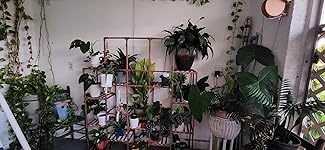 Review Image by Marie Smith Marie Smith