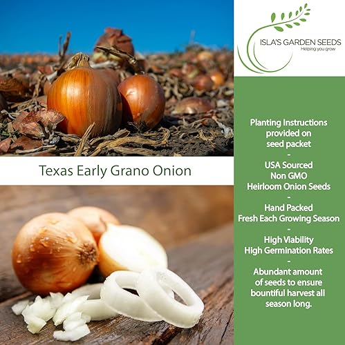 Miniatura 2 de Semillas de cebolla granada temprana de Texas (Allium cepa) – Más de 300 semillas de reliquia sin OMG de Isla's Garden Seeds, cebolla dulce de día