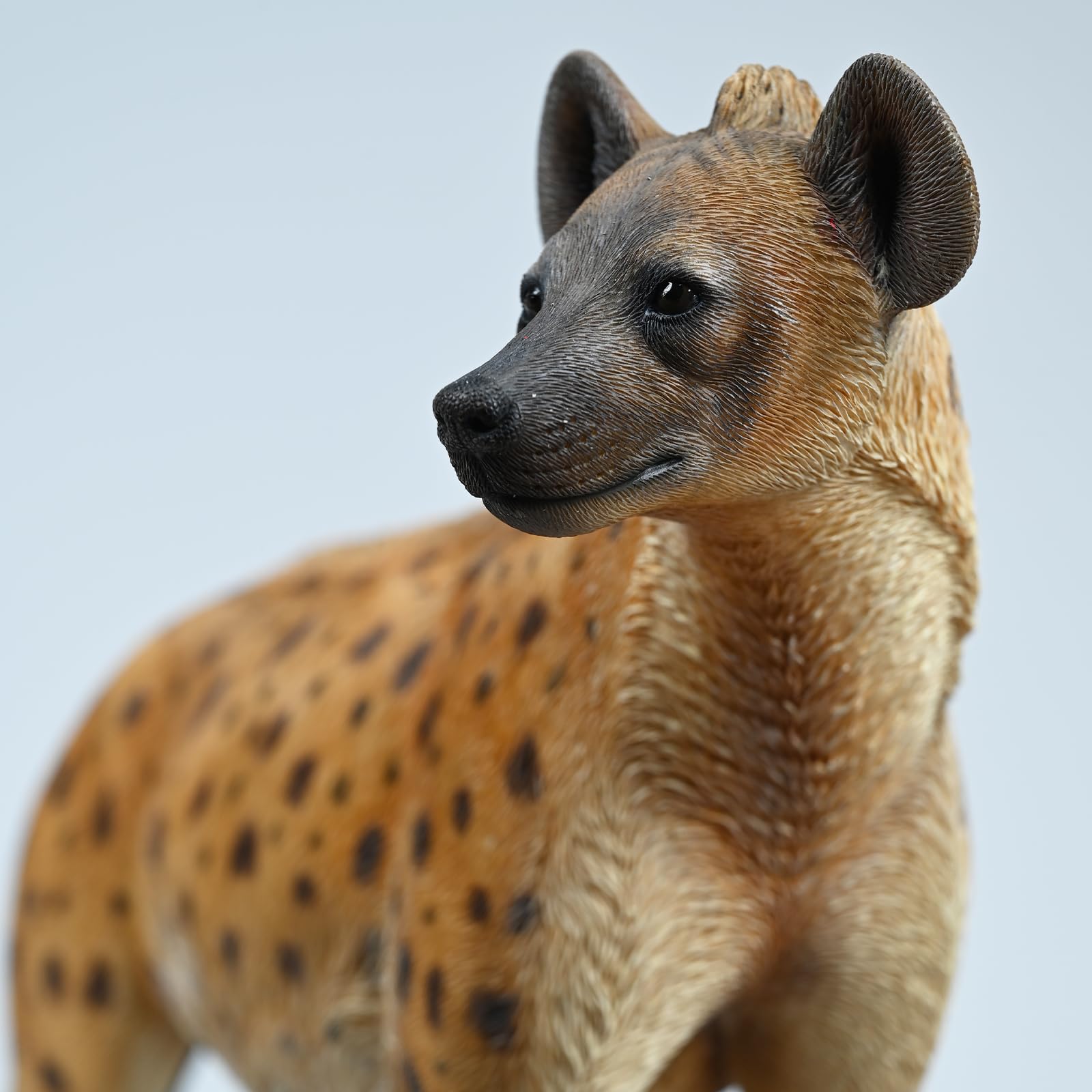 HYENA STATION  sddefault.jpg