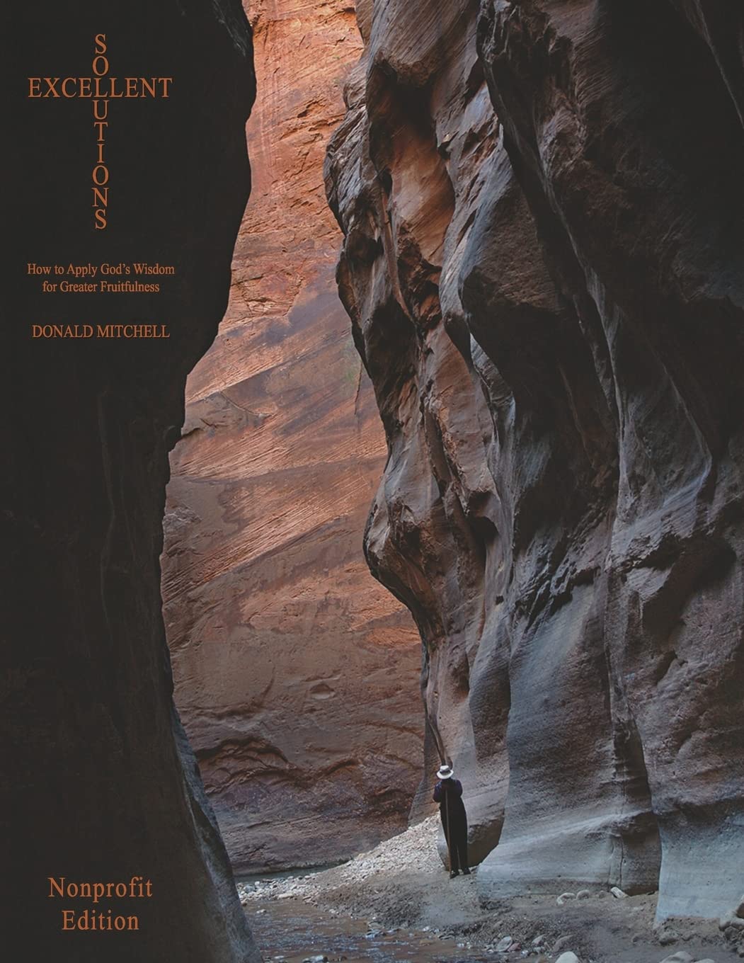 Excellent Solutions: Nonprofit Edition: How to Apply God's Wisdom for Greater Fruitfulness