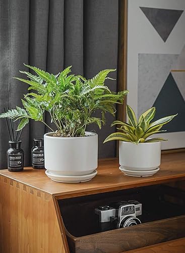 Vista 37 de LE TAUCI - Macetas de 4.5 pulgadas y 5.3 pulgadas y 6.5 pulgadas maceta con agujeros de drenaje y platillos de cerámica, con bandeja, macetas