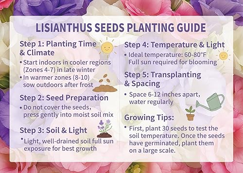 Miniatura 4 de Más de 2000 semillas de Lisianthus para plantar - Paquete de 2 colores mixtos semillas perennes de Eustoma Grandiflorum para 2026, semillas de