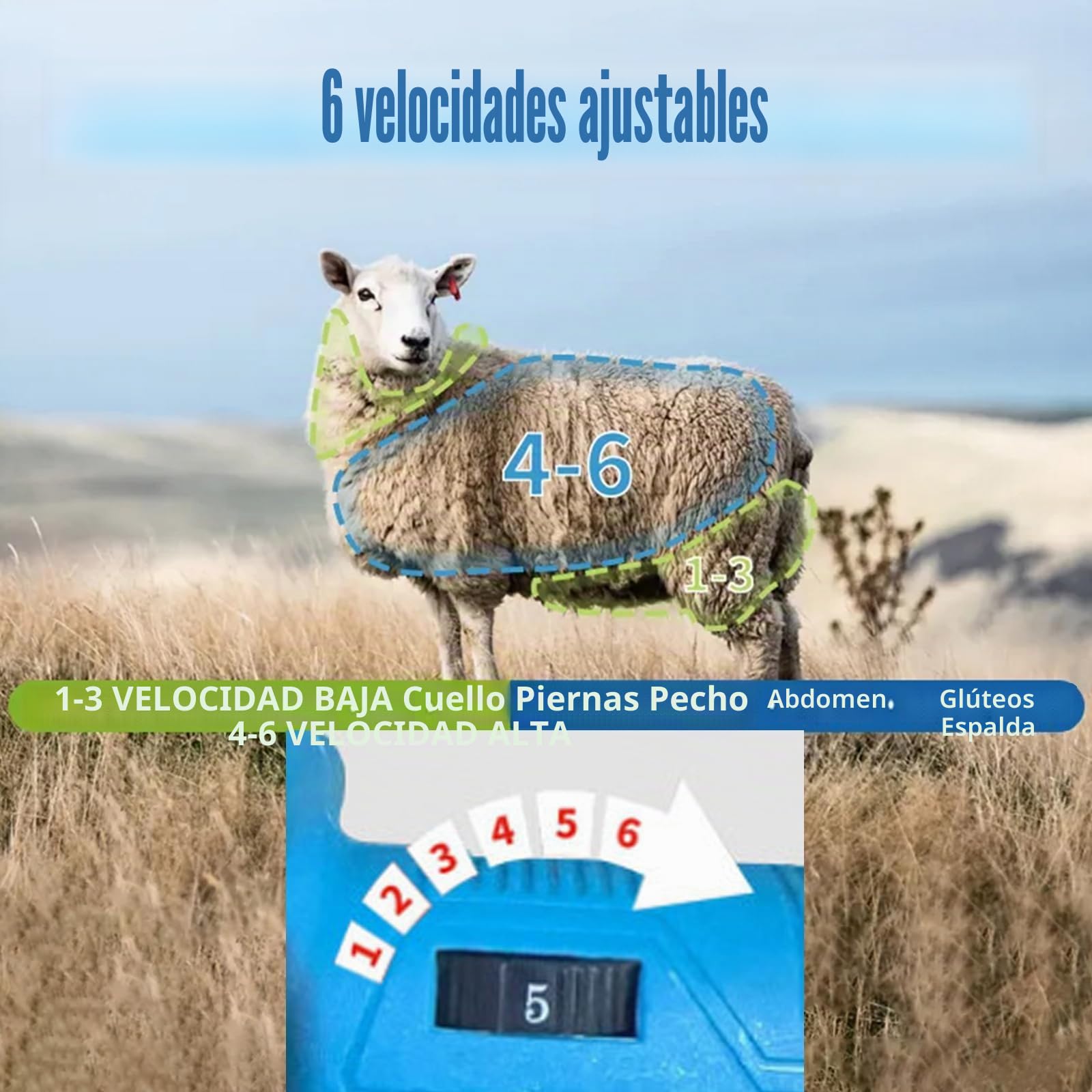 Máquina De Esquilar Eléctrica Inalámbrica, 600w De Potencia, Equipada Con 2 Baterías, Ajuste De 6 Velocidades, Cuchilla De Acero Inoxidable De 13 Dientes, Adecuada Para Esquilar Lana De Oveja Y Cabra
