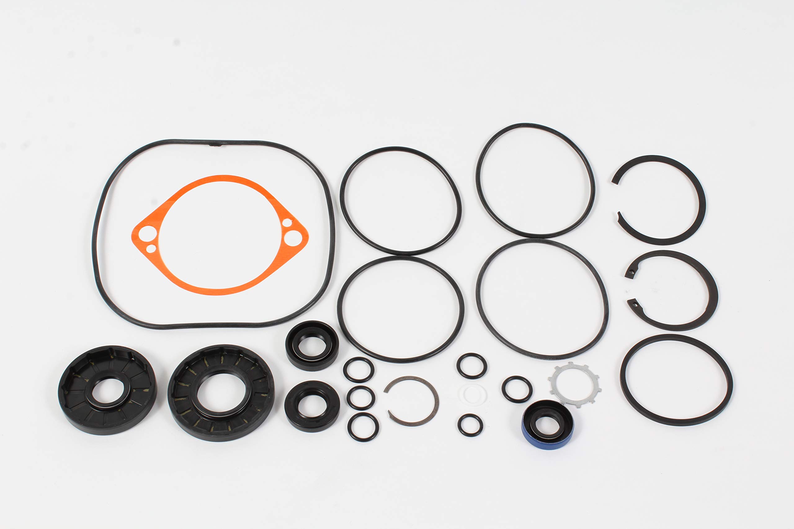 Amazon.com: OEM Hydro Gear 2510073 Overhaul Seal Kit : Automotive