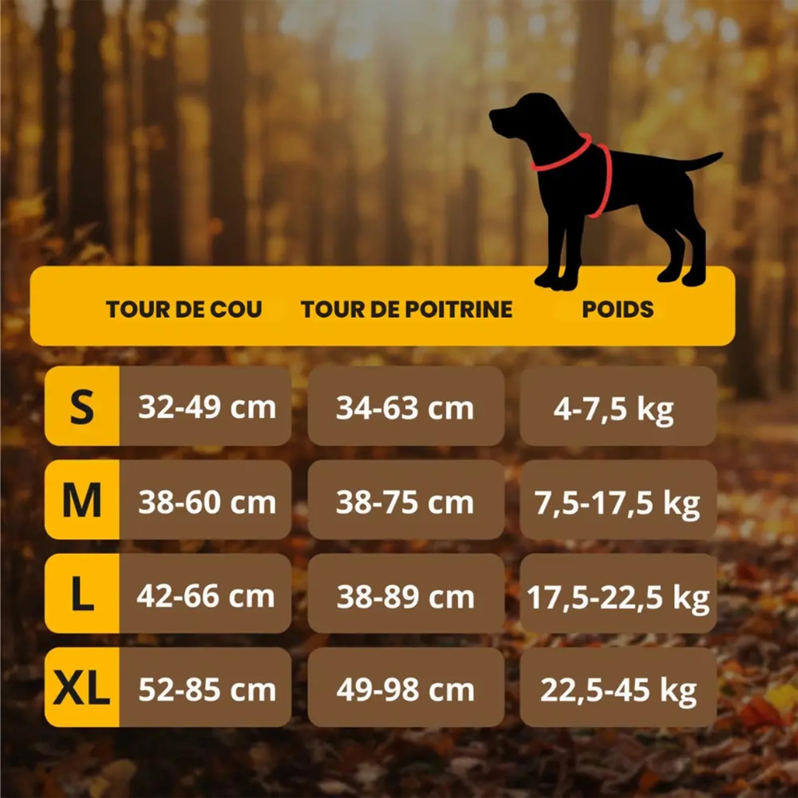Harnais Elyo Anti Traction pour Chien – Harnais Réglable et Respirant avec Double Attache Avant et Arrière, Bandes Réfléchissantes et Poignée de Contrôle pour Promenades Quotidiennes (XL)