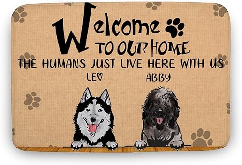 Tapete de entrada de interior de 20 x 32 pulgadas, tapetes para sala de estar y decoración del suelo del hogar, tapete de cocina con nombre