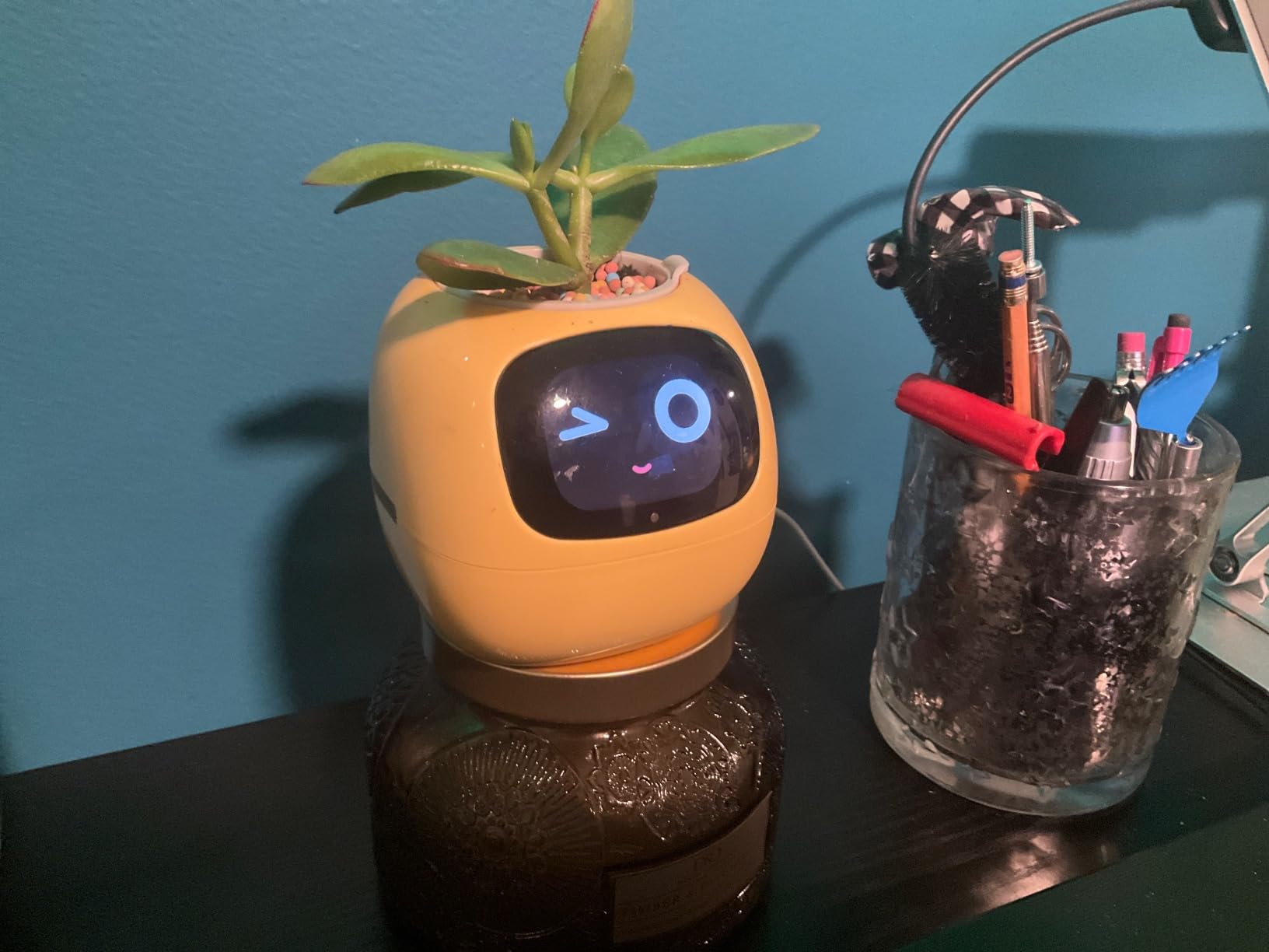 Plantagotchi - AI Smart Planter photo review
