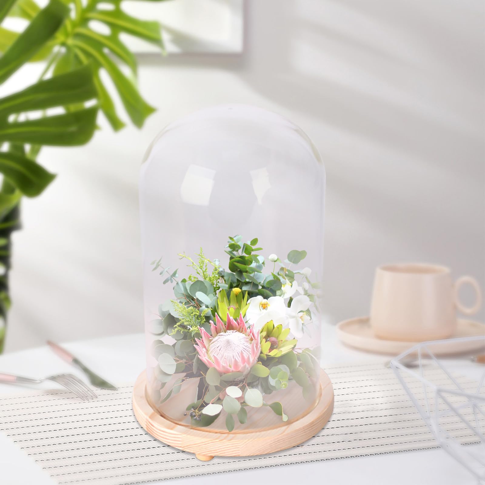 Cloche Verre Decorative 31.5cm Socle Bois Cloche Verre Avec Socle Bois Belle Vous - 31,5cm De Haut - Dôme Transparent Protection Décoration Décoration De Table