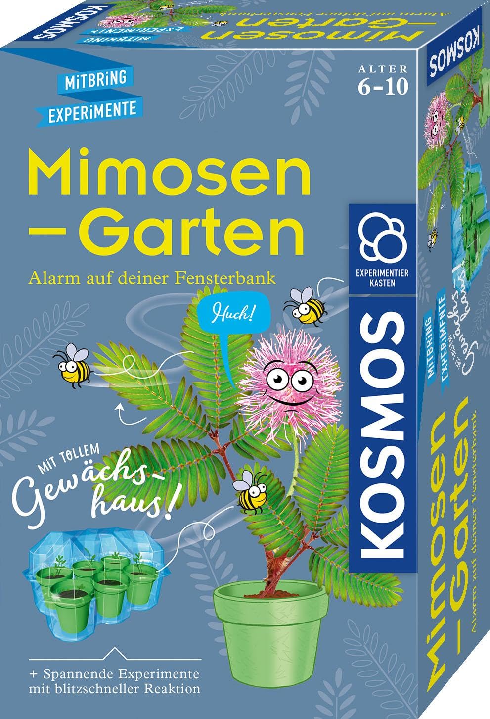 Mimosen-Garten: Experimentierkasten