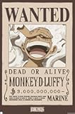 Trends International One Piece - Monkey D Luffy Wanted Poster Wall Poster, 34L x 22.4W, Unframed Version