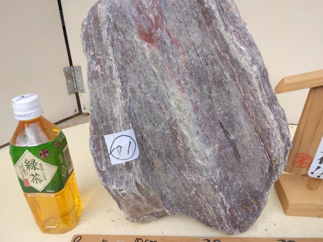 巨大な 阿波青石 NO1番 青石 庭石 景石 造園 庭園 四国徳島の