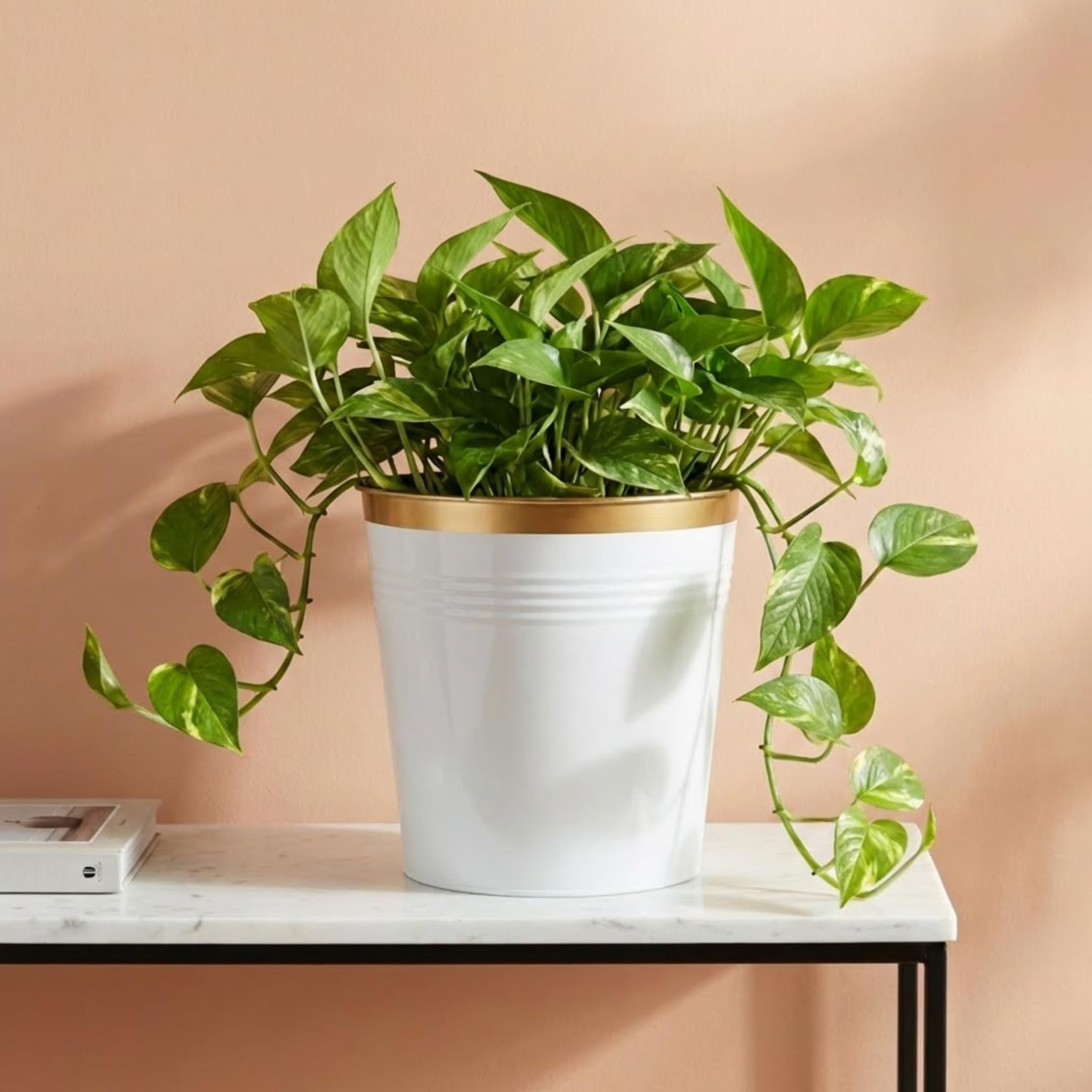 ecofynd 7 inches Shiny Metal Planters for Living Room, Flower Pots for Home Decoration, Tree Pots for Indoor Outdoor Garden, Balcony Decor Plant Pot (White, Pack of 1, EC19004-07)-image-16