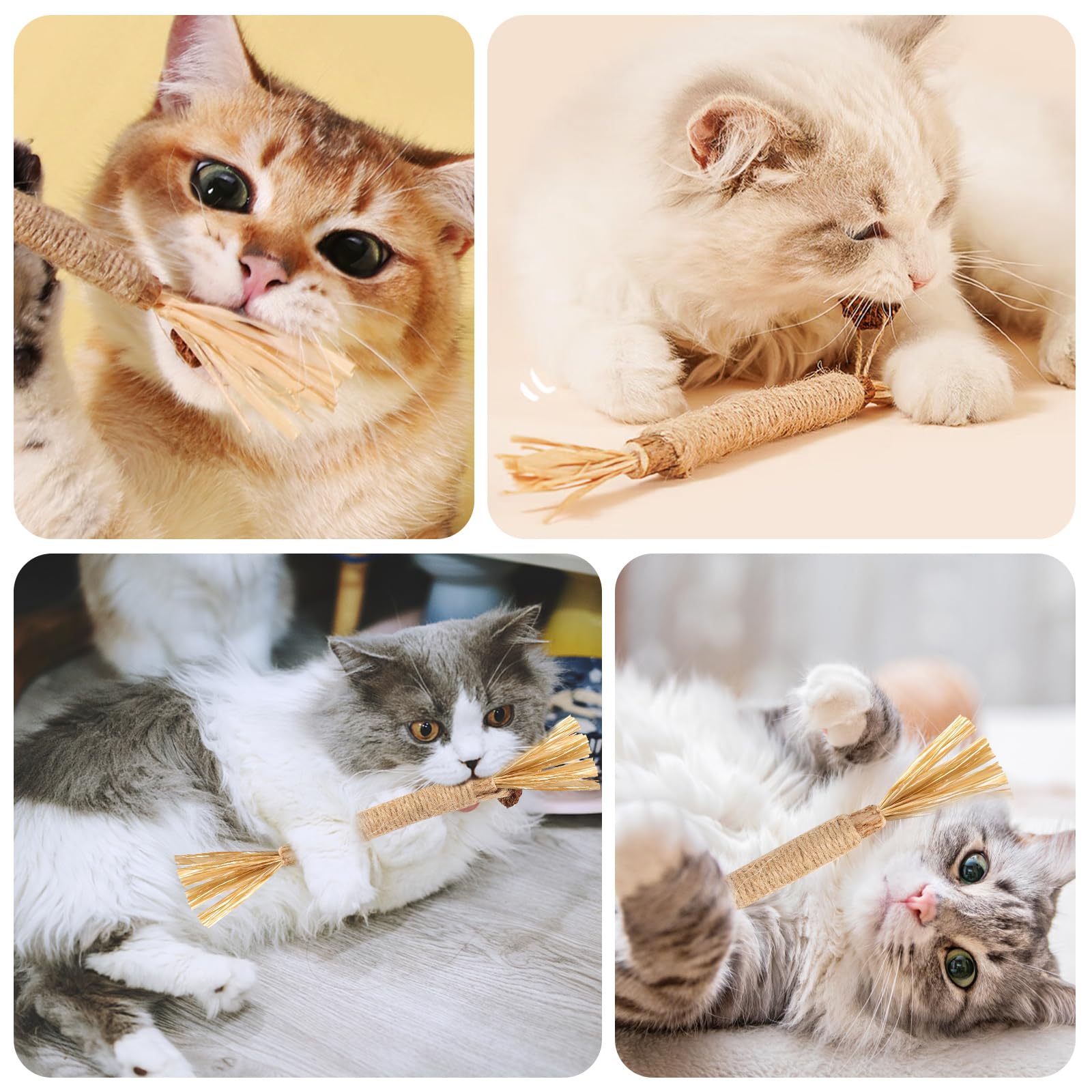 Bastoncini Erba Gatta Per Gatti - Set 6 Pezzi Per Gioco E Igiene Dentale - Foto 6