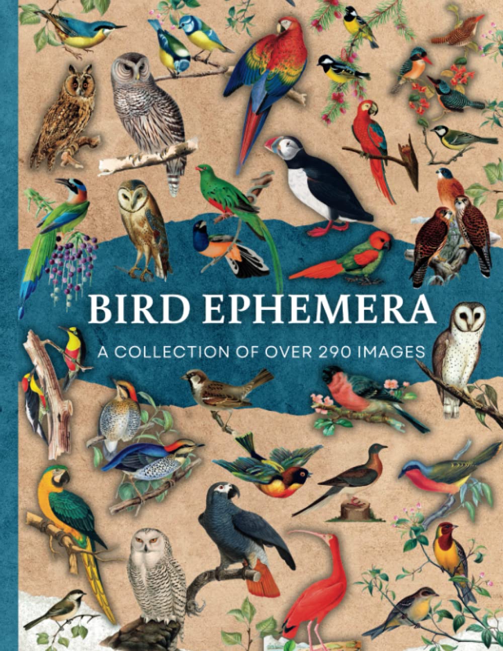 Bird Ephemera: A Curated Collection of Over 290 Images For Junk Journaling, Mixed Media, Scrapbooking, Arts & Crafts | Birds Cut Out & Collage Book