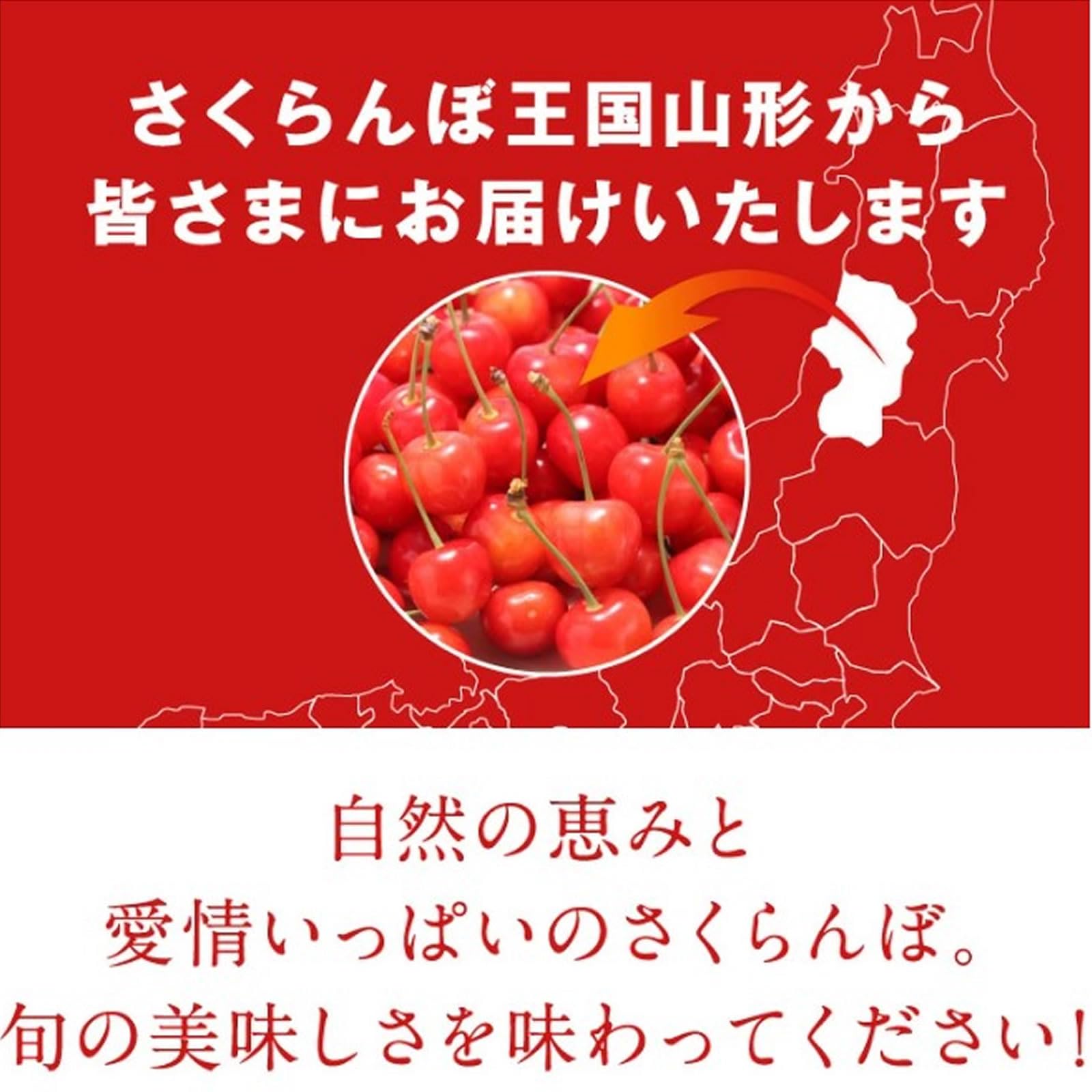 Amazon.co.jp: ジェイエイてんどうフーズ ご自宅用 山形県産 佐藤錦 約