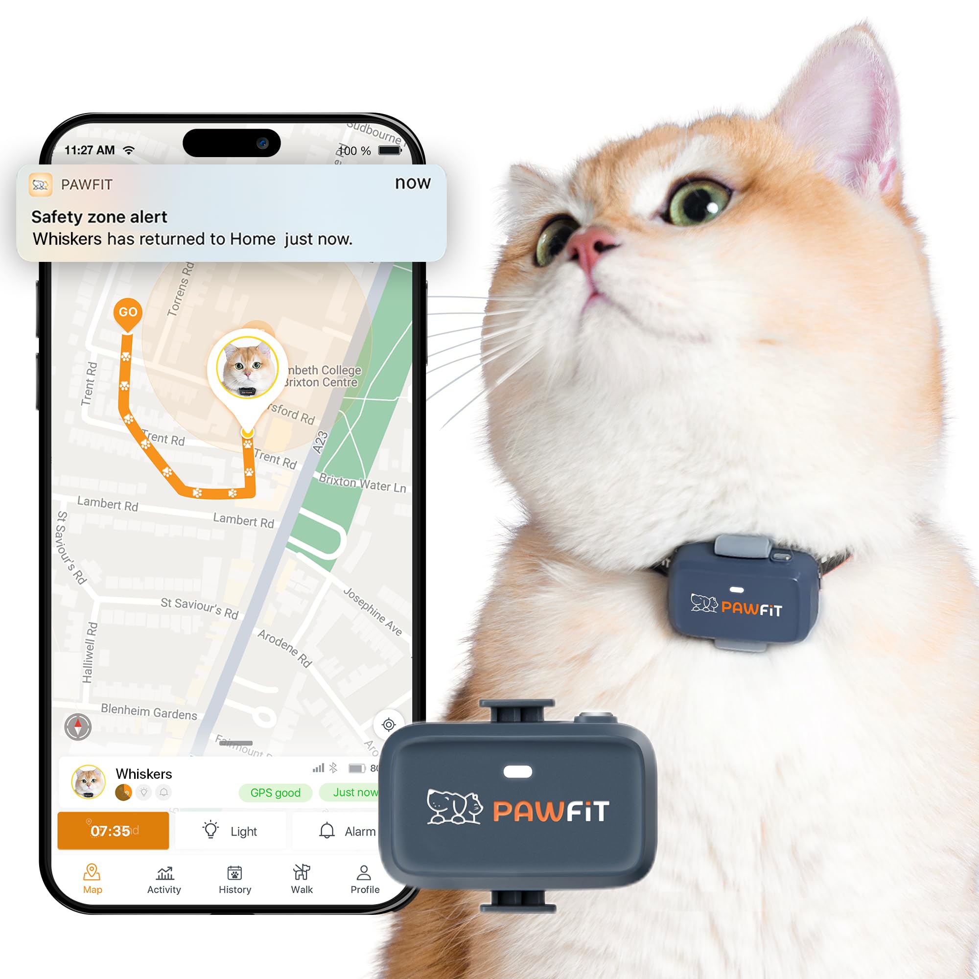 Pawfit Lite for Cats 4g GPS Tracker | Ultra-Small (<18g) Design | Real-Time Tracking | Activity Monitoring | Location History | Unlimited Range | Safety Collar Included | Charcoal Grey