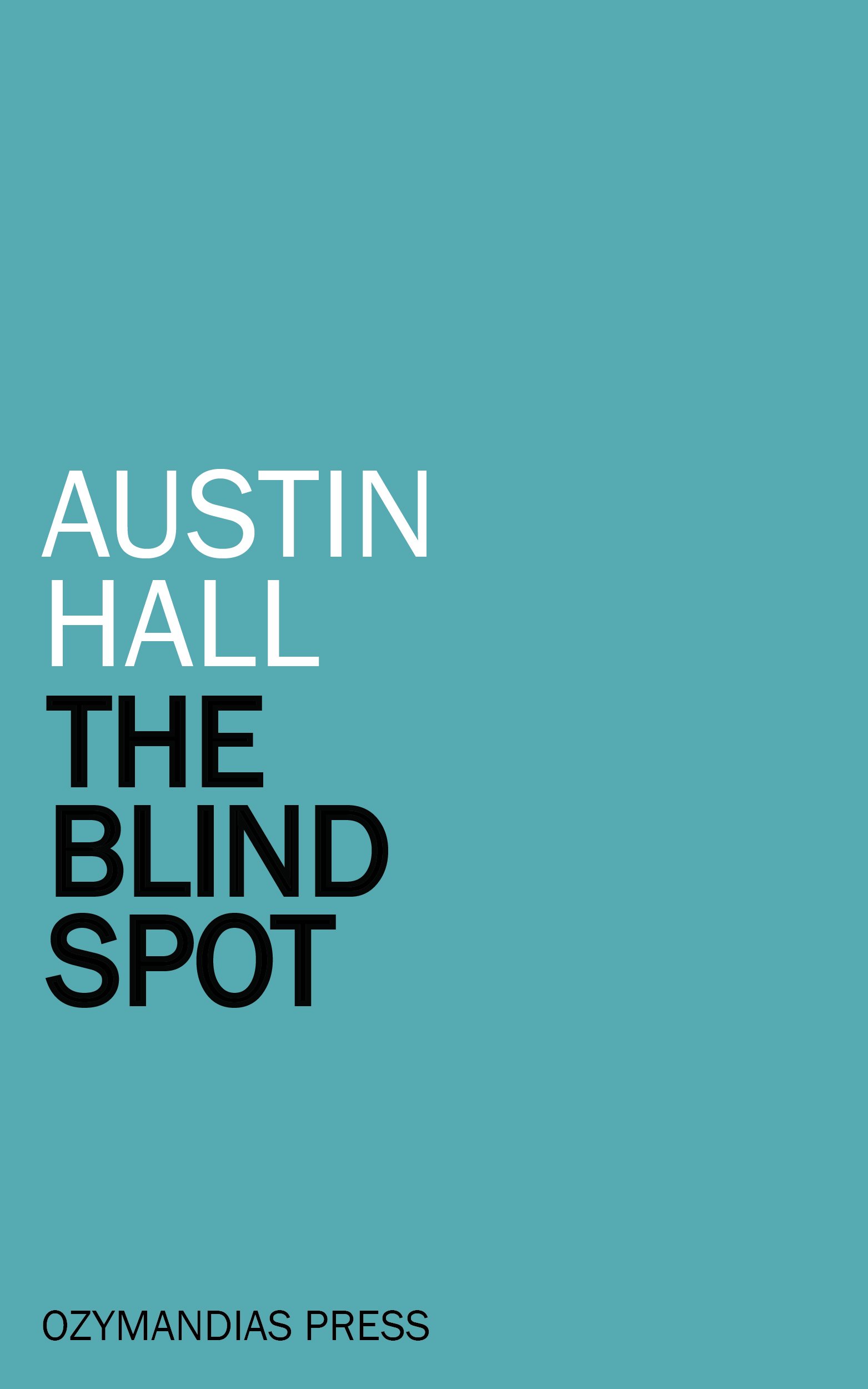 Cover of The Blind Spot